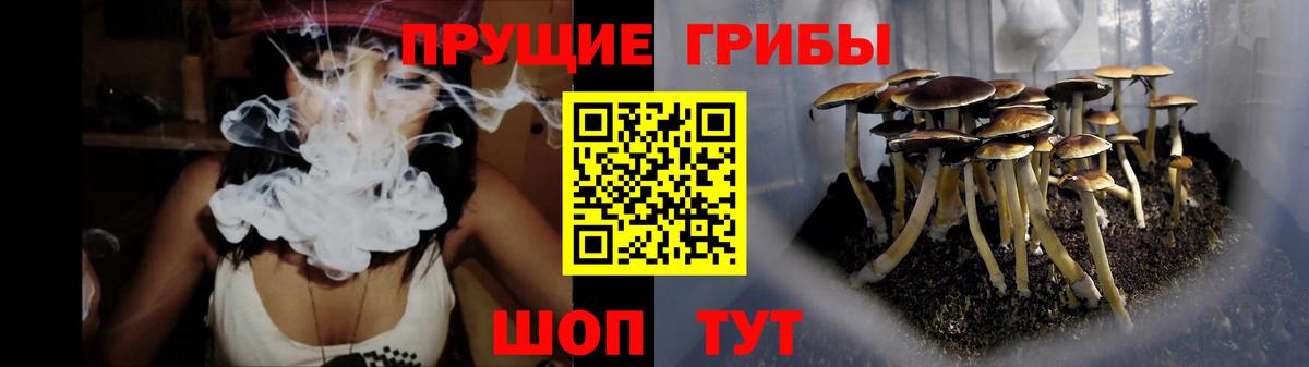 Улан-Удэ  Галлюциногенные грибы MAGIC MUSHROOMS  Галлюциногенные грибы Cubensis  Вход с VPN 